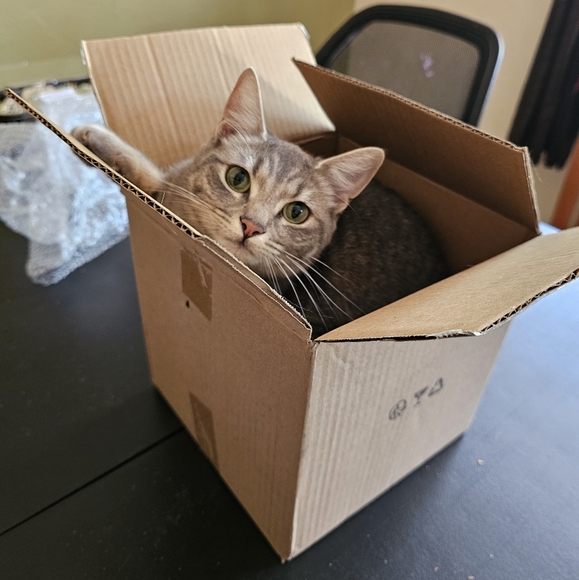 Greetings, I'm Acacia and I'll be your Faerie Odd Mother! - Picture 12 of 12